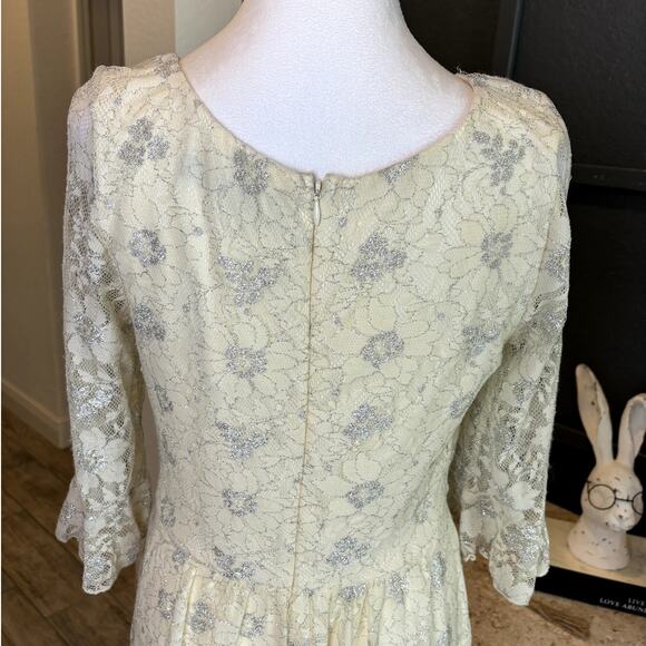 Eva Franco Anthropologie Ivory Silver Metallic Floral Lace Dress NWT Size 4 - Picture 6 of 9
